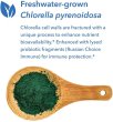 画像3: Allergy Research Group  King Chlorella 600 tablets (3)